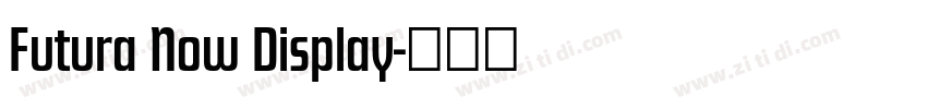 Futura Now Display字体转换 Futura Now Display字体转换